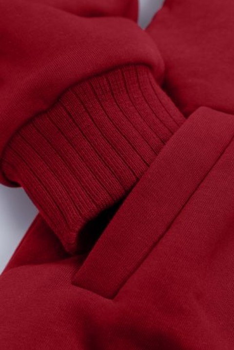 Męska bluza LUKAS BORDO, Kolor : bordowy, IVET.PL - Modna odzież