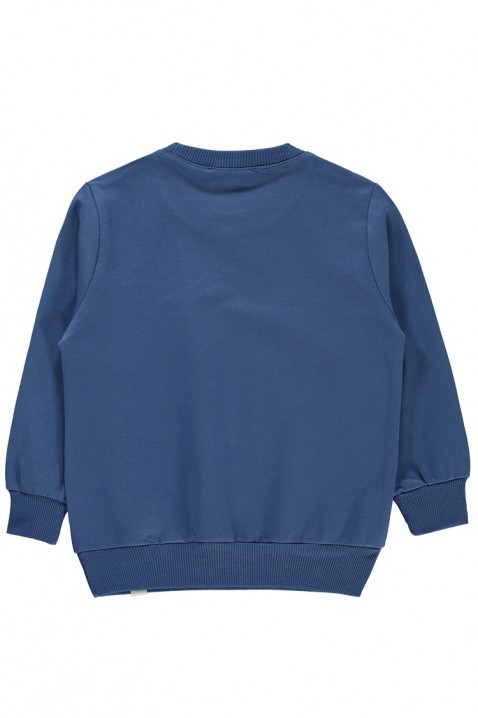 Bluza dla chłopca BARNY BLUE, Kolor : chabrowy, IVET.PL - Modna odzież