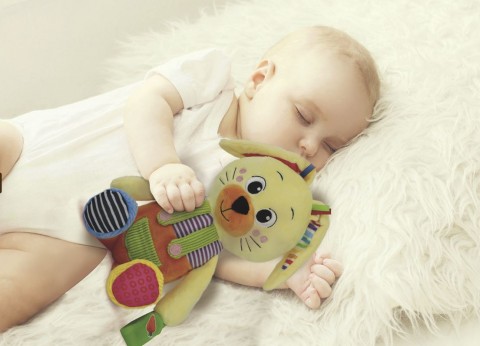 Mój Przyjaciel Królik | Baby For YouIVET.PL - Modna odzież