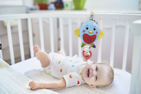 Pozytywka Ptaszek | Baby For YouIVET.PL - Modna odzież