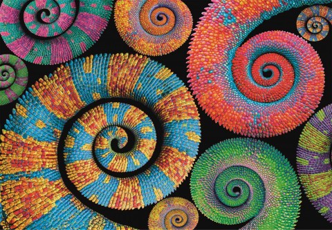 Puzzle Clementoni z 500 elementów - SpiralaIVET.PL - Modna odzież