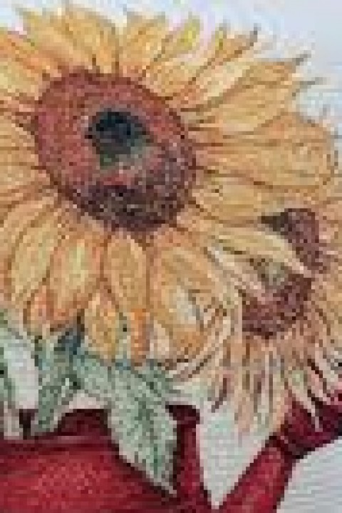 Poszewka na poduszkę ZIODEXA 42х42 cm, Kolor : wielokolorowy, IVET.PL - Modna odzież