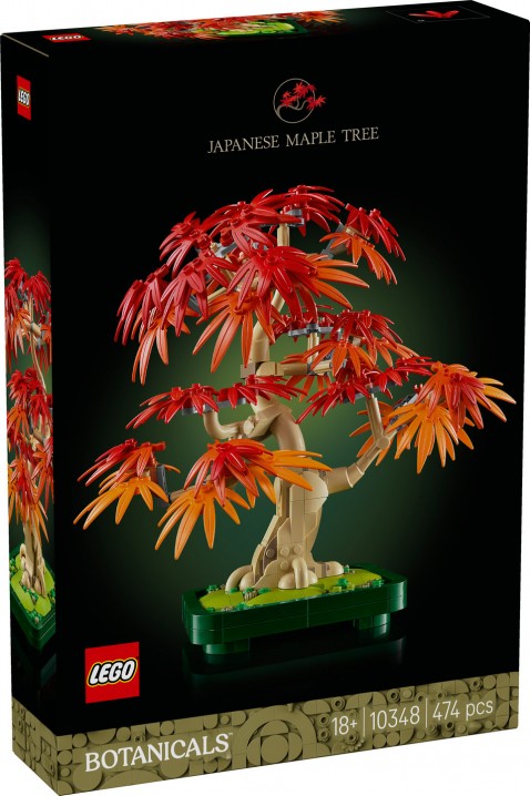10348 – Bonsai Czerwony japoński klonIVET.PL - Modna odzież