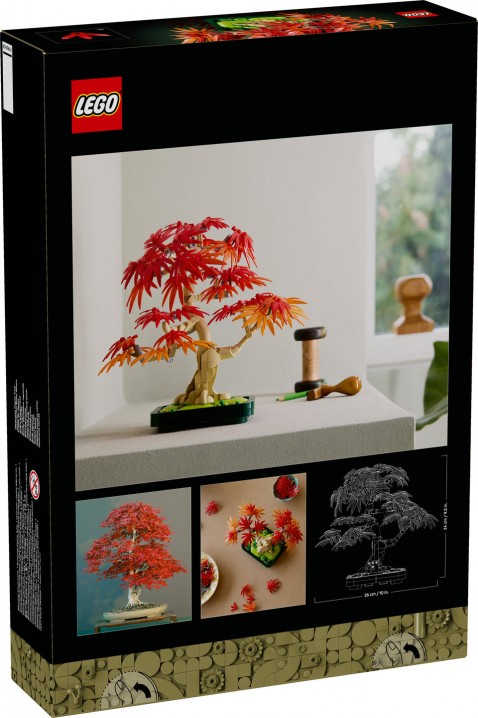 10348 – Bonsai Czerwony japoński klonIVET.PL - Modna odzież