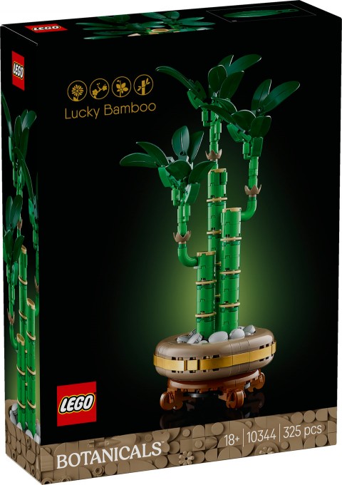 10344 | Dracena SanderaIVET.PL - Modna odzież