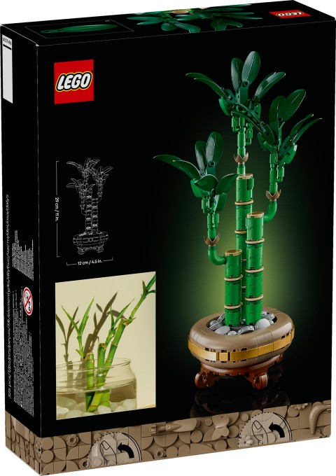 10344 | Dracena SanderaIVET.PL - Modna odzież
