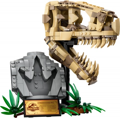76964 | Szkielety dinozaurów - czaszka tyranozauraIVET.PL - Modna odzież