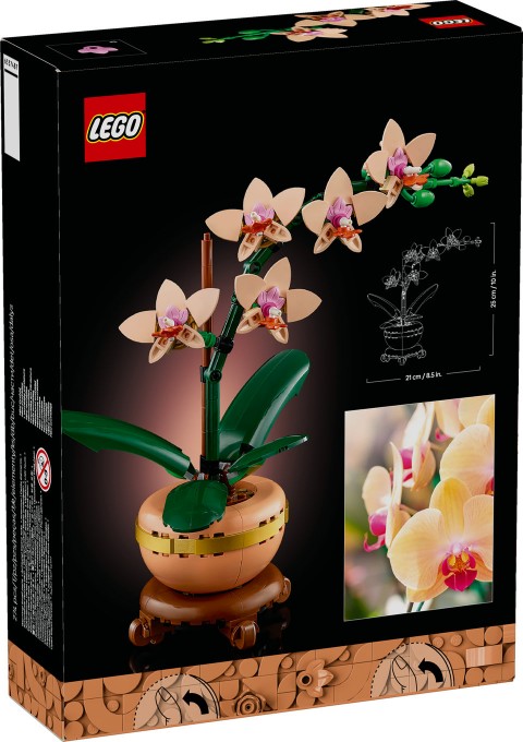 10343 | Mała OrchideaIVET.PL - Modna odzież