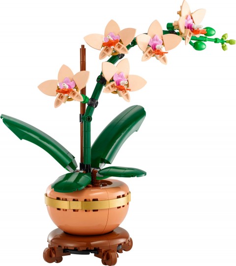 10343 | Mała OrchideaIVET.PL - Modna odzież