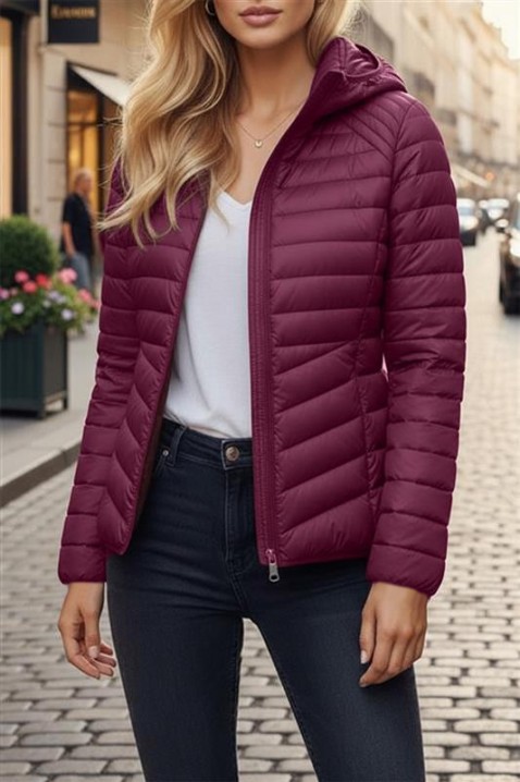 Kurtka BRILENZA BORDO, Kolor : bordowy, IVET.PL - Modna odzież