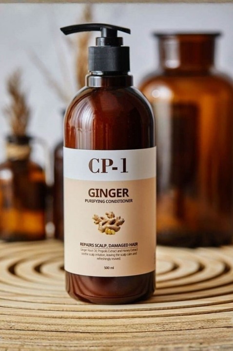 Esthetic House CP-1 Ginger Purifying Shampoo 500 mlIVET.PL - Modna odzież