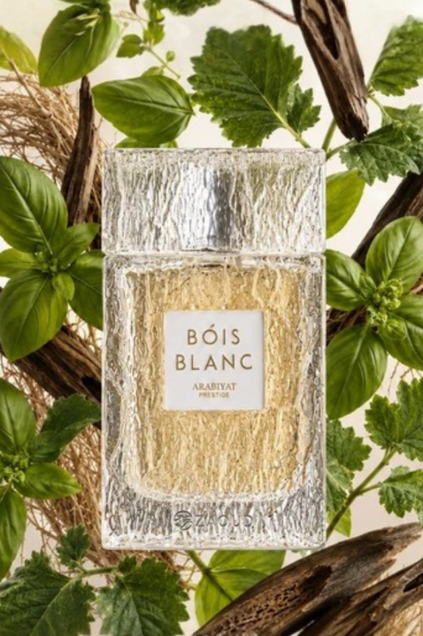 Arabski perfum Arabiyat Prestige Bois Blanc EDP 100 mlIVET.PL - Modna odzież