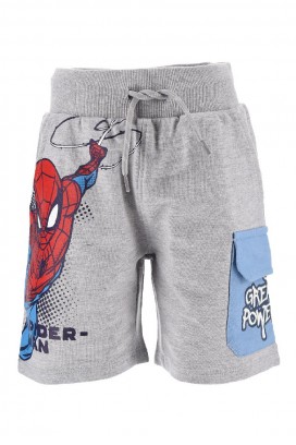 Szorty SPAIDY GREY