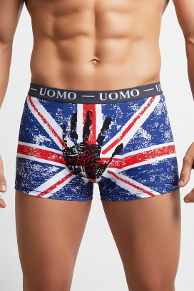 Bokserki damskie BRITIZO GREY