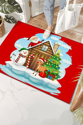 Wycieraczka wejściowa OMERLY 60x90 cm